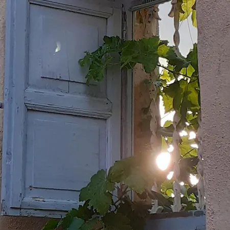 Baglio Ficus Alcamo